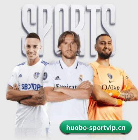 火博体育sportvip APP 界面
