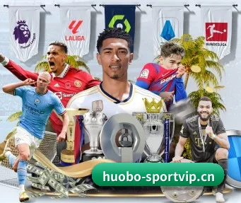 火博体育sportvip APP